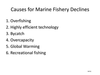 Causes for Marine Fishery Declines
1. Overfishing
2. Highly efficient technology
3. Bycatch
4. Overcapacity
5. Global Warming
6. Recreational fishing
NEFSC
 