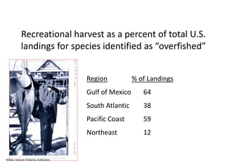 Recreational harvest as a percent of total U.S.
landings for species identified as “overfished”
Region % of Landings
Gulf of Mexico 64
South Atlantic 38
Pacific Coast 59
Northeast 12
NOAA Historic Fisheries Collection
 