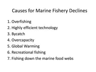 Causes for Marine Fishery Declines
1. Overfishing
2. Highly efficient technology
3. Bycatch
4. Overcapacity
5. Global Warming
6. Recreational fishing
7. Fishing down the marine food webs
 