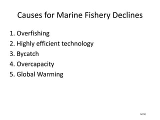 Causes for Marine Fishery Declines
1. Overfishing
2. Highly efficient technology
3. Bycatch
4. Overcapacity
5. Global Warming
NEFSC
 