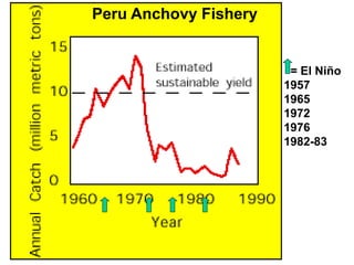 = El Niño
1957
1965
1972
1976
1982-83
Peru Anchovy Fishery
 