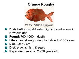 Orange Roughy
• Distribution: world wide, high concentrations in
New Zealand
• Found: 700-1000m depth
• Life span: slow-growing, long-lived, ~150 years
• Size: 30-40 cm
• Diet: prawns, fish, & squid
• Reproductive age: 25-30 years old
 