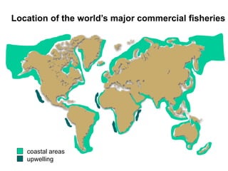 Location of the world’s major commercial fisheries
upwelling
coastal areas
 