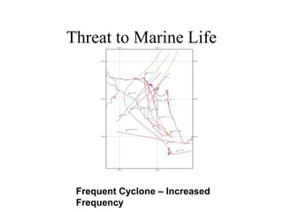 Threat to Marine Life
Frequent Cyclone – Increased
Frequency
 