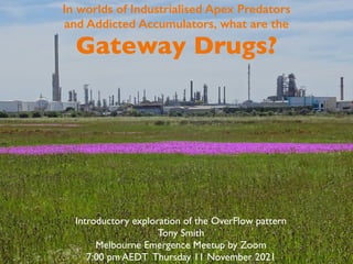 In worlds of Industrialised Apex Predators
and Addicted Accumulators, what are the
Gateway Drugs?
Introductory exploration of the OverFlow pattern
Tony Smith
Melbourne Emergence Meetup by Zoom
7:00 pm AEDT Thursday 11 November 2021
 