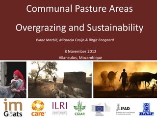 Communal Pasture Areas
Overgrazing and Sustainability
    Yvane Marblé, Michaela Cosijn & Birgit Boogaard

                     8 November 2012
                 Vilanculos, Mozambique
 
