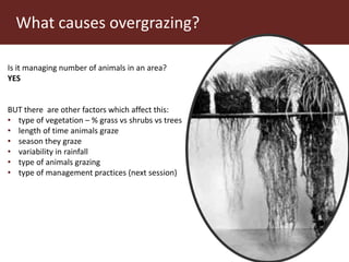 Communal pasture areas: Overgrazing and sustainability