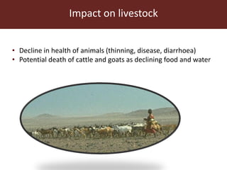 Communal pasture areas: Overgrazing and sustainability