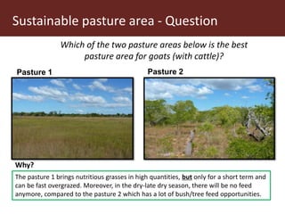 Communal pasture areas: Overgrazing and sustainability