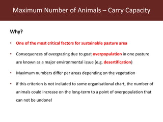 Communal pasture areas: Overgrazing and sustainability