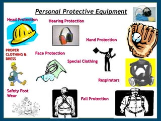 Personal Protective Equipment
Head Protection
PROPER
CLOTHING &
DRESS
Safety Foot
Wear
Hearing Protection
Face Protection
Hand Protection
Respirators
Fall Protection
Special Clothing
 