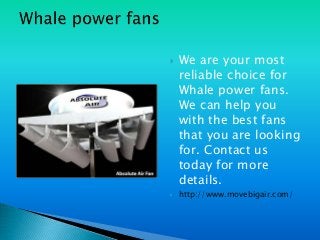  We are your most
reliable choice for
Whale power fans.
We can help you
with the best fans
that you are looking
for. Contact us
today for more
details.
 http://www.movebigair.com/
 