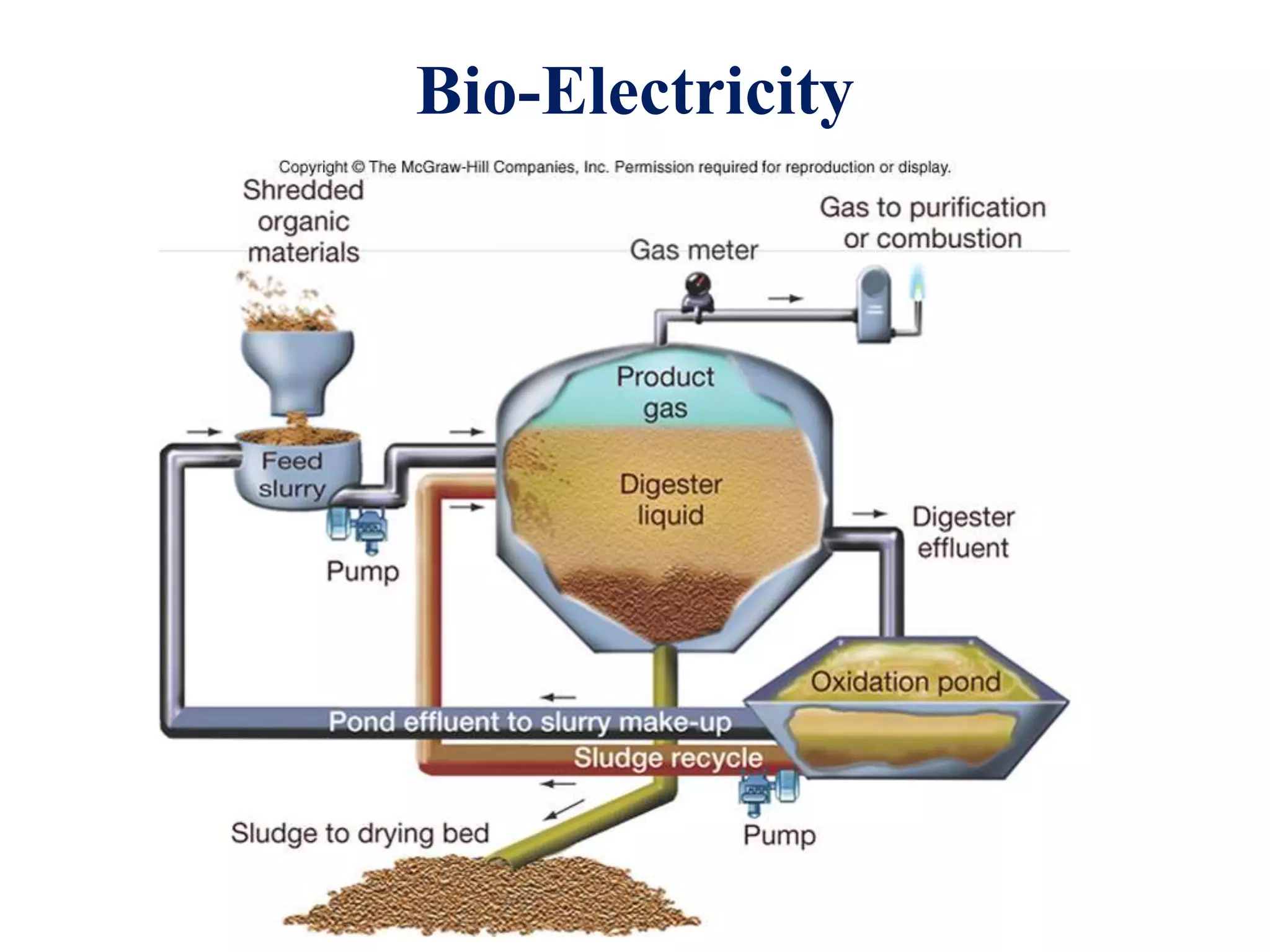 Bio-Electricity
 