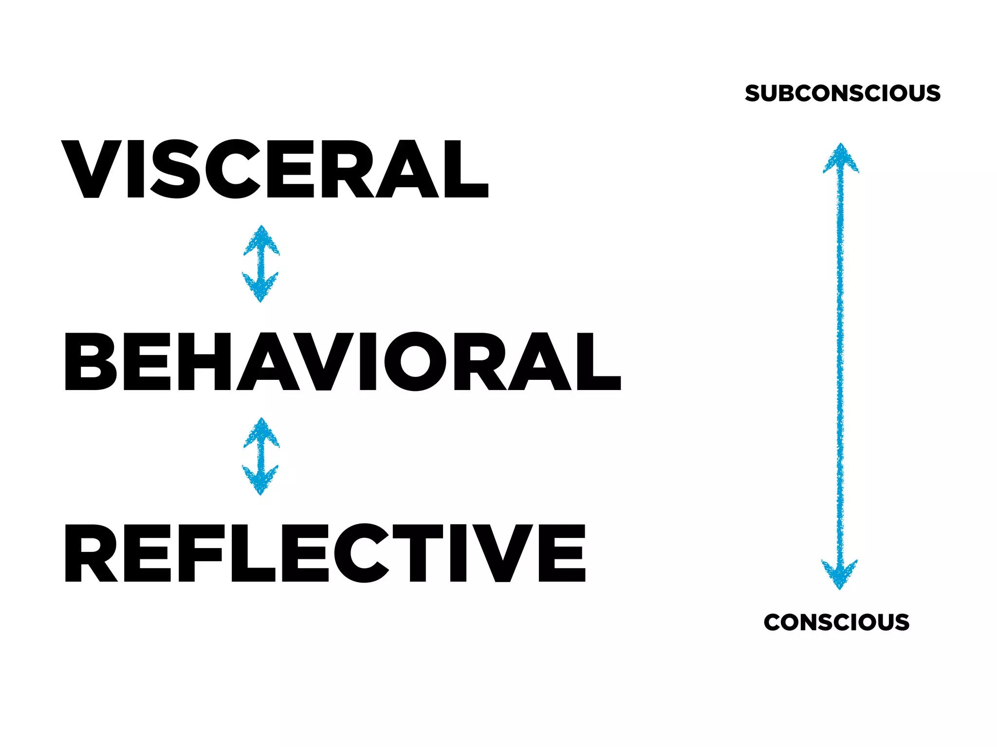 SUBCONSCIOUS



VISCERAL

BEHAVIORAL

REFLECTIVE
              CONSCIOUS
 