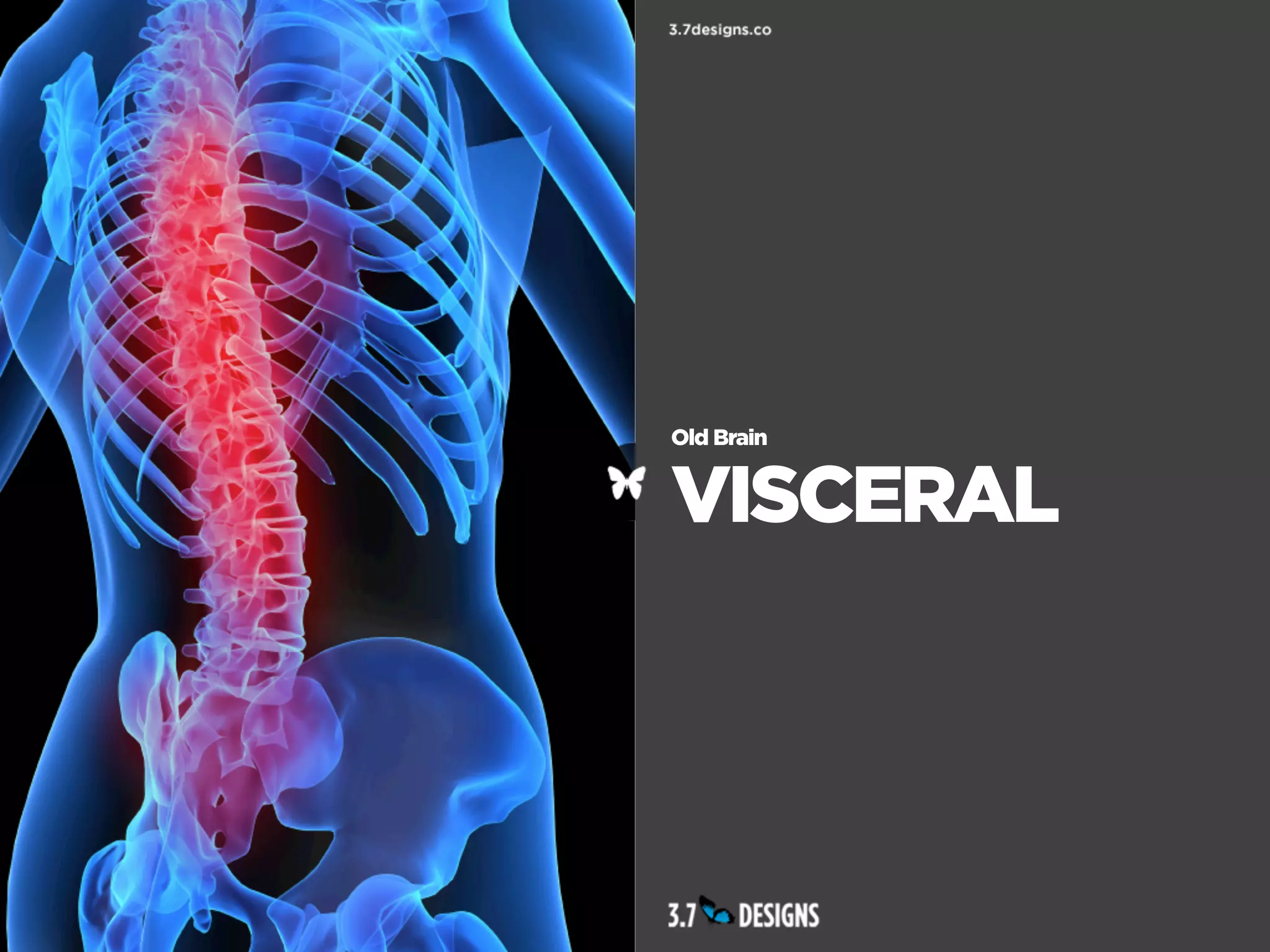 Old Brain


VISCERAL
 