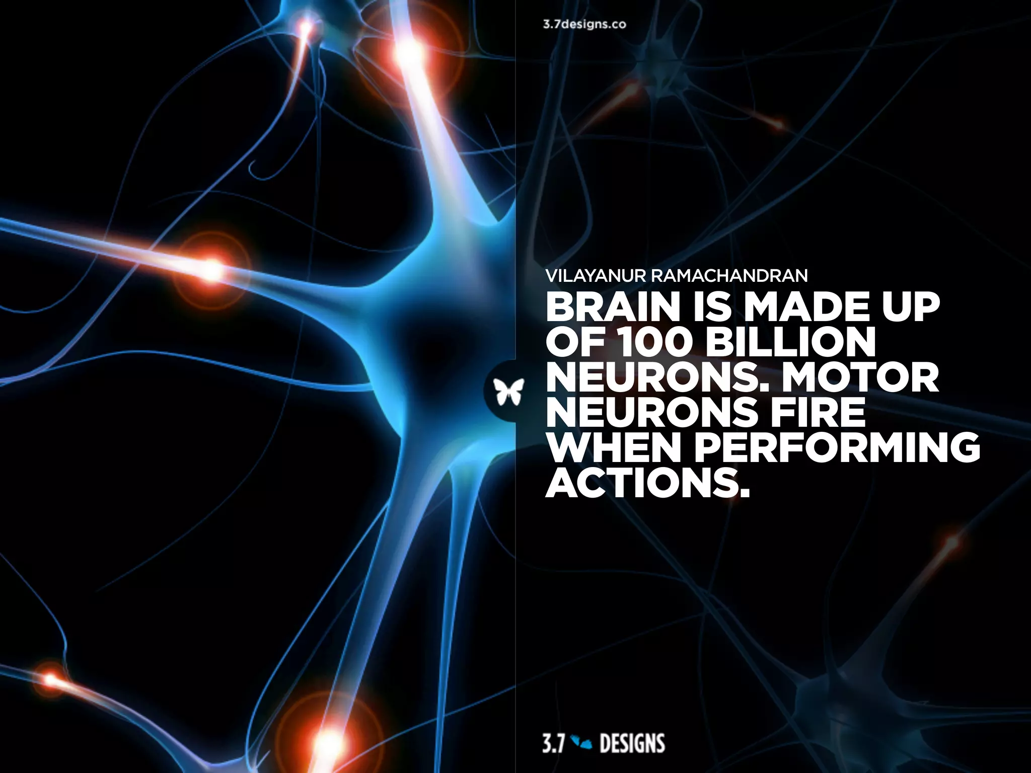VILAYANUR RAMACHANDRAN

BRAIN IS MADE UP
OF 100 BILLION
NEURONS. MOTOR
NEURONS FIRE
WHEN PERFORMING
ACTIONS.
 