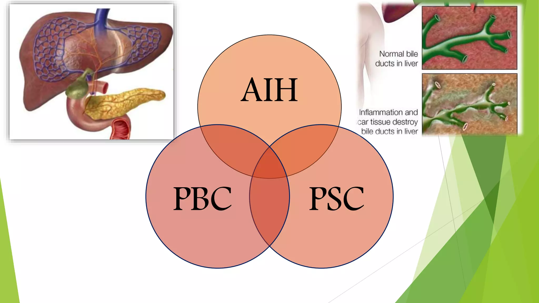 Overlap syndrome | PPTX | Blood Disorders | Diseases and Conditions