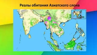 Реалы обитания Азиатского слона
 