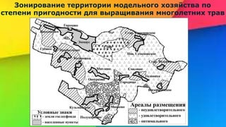 Зонирование территории модельного хозяйства по
степени пригодности для выращивания многолетних трав
 