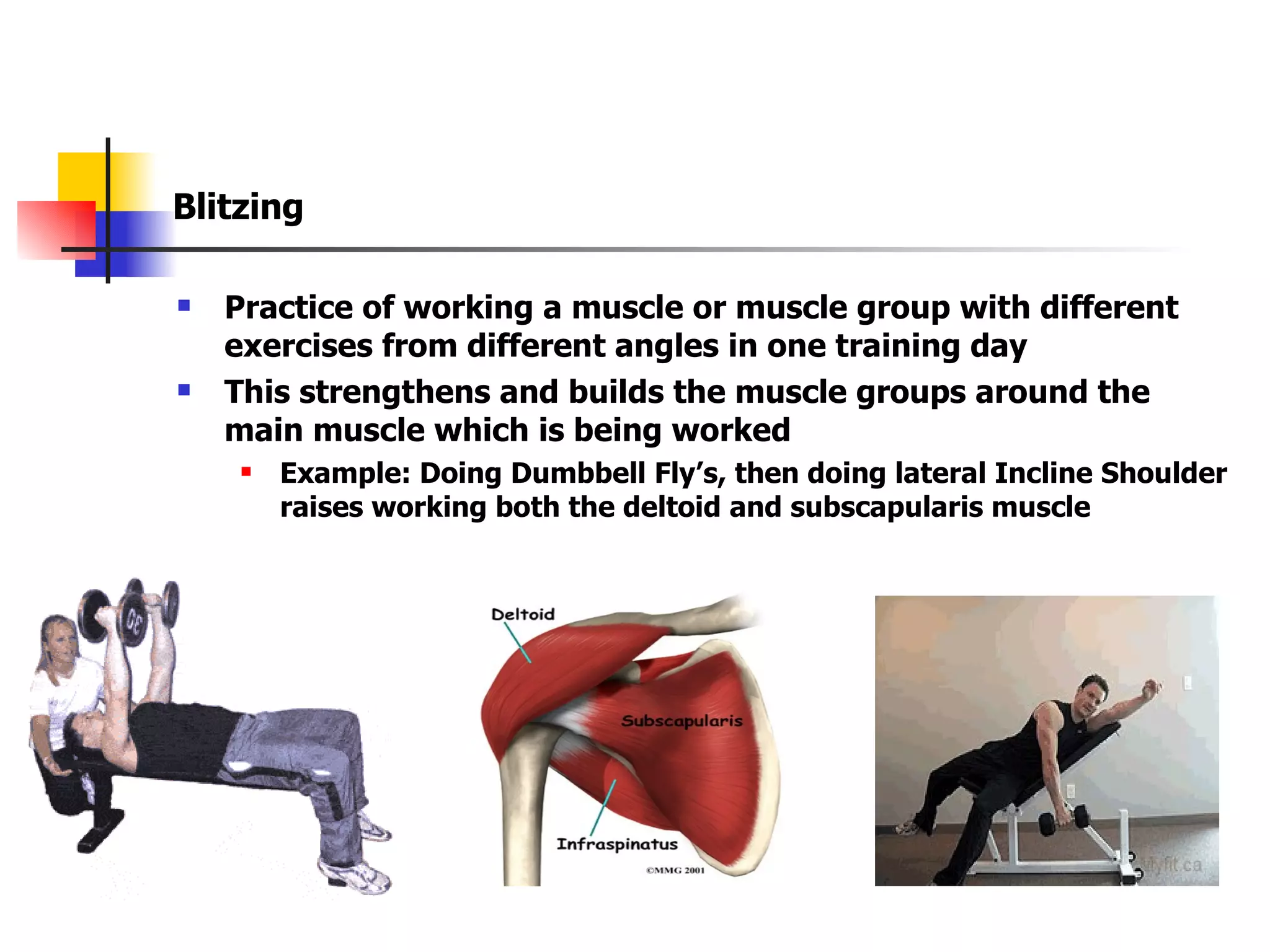 Blitzing Practice of working a muscle or muscle group with different exercises from different angles in one training day This strengthens and builds the muscle groups around the main muscle which is being worked Example: Doing Dumbbell Fly’s, then doing lateral Incline Shoulder raises working both the deltoid and subscapularis muscle 