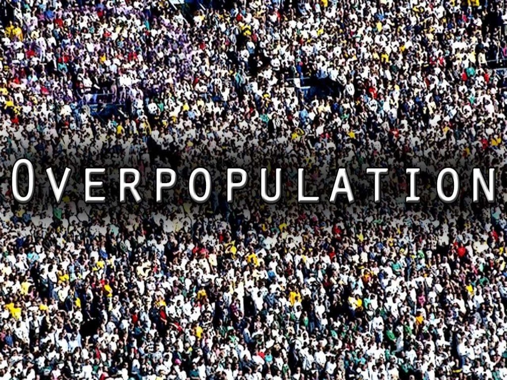 Overpopulation