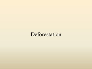 Deforestation
 