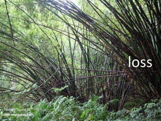 loss

Image found at
 