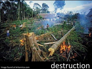 Image found at britannica.com   destruction
 