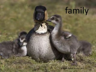 family




Image found at art.com
 