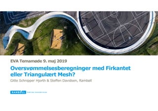 EVA Temamøde 9. maj 2019
Oversvømmelsesberegninger med Firkantet
eller Triangulært Mesh?
Gitte Schnipper Hjorth & Steffen Davidsen, Rambøll
 