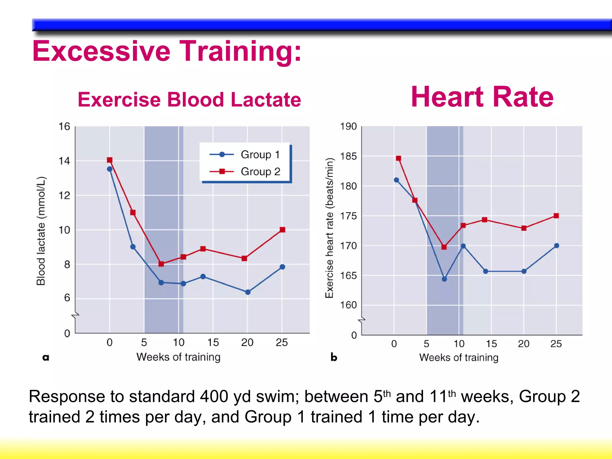 Excessive Training:  Exercise Blood Lactate  Heart Rate  Response to standard 400 yd swim; between 5 th  and 11 th  weeks, Group 2 trained 2 times per day, and Group 1 trained 1 time per day. 