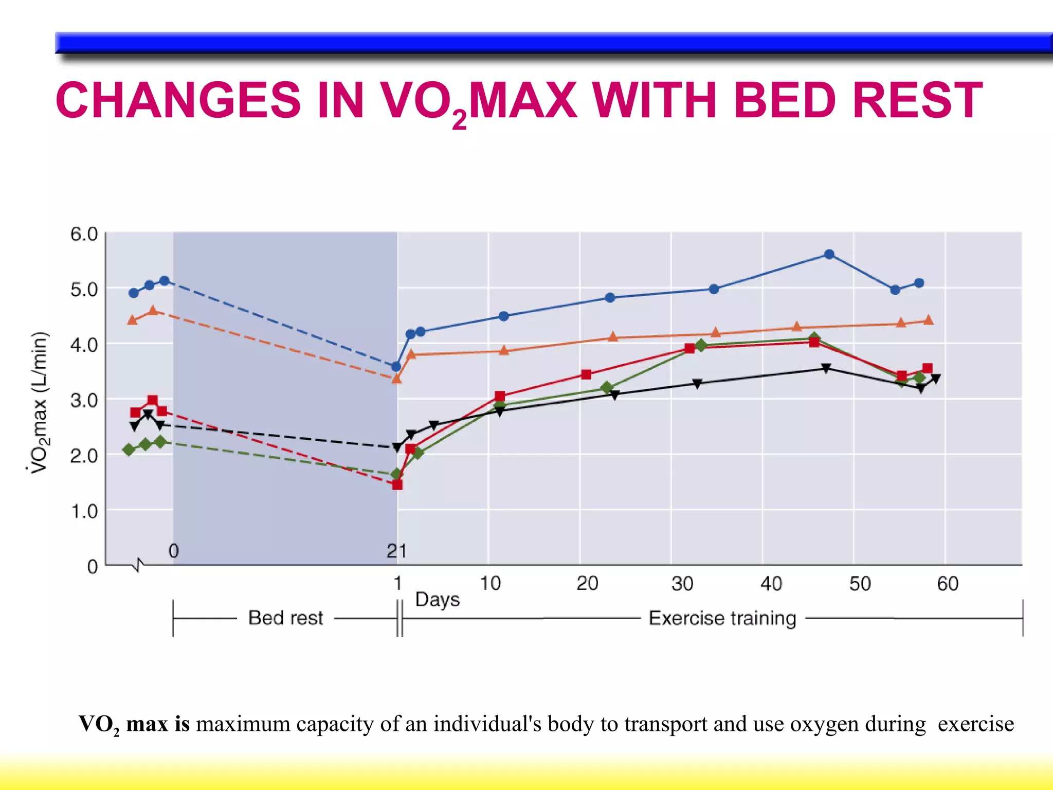 VO 2  max is  maximum capacity of an individual's body to transport and use oxygen during  exercise CHANGES IN VO 2 MAX WITH BED REST . 