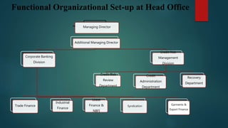 Functional Organizational Set-up at Head Office
Managing Director
Additional Managing Director
Corporate Banking
Division
Trade Finance
Industrial
Finance
Lease
Finance &
NBFI
Syndication Garments &
Export Finance
Credit Risk
Management
Division
Credit Risk
Review
Department
Credit
Administration
Department
Recovery
Department
 