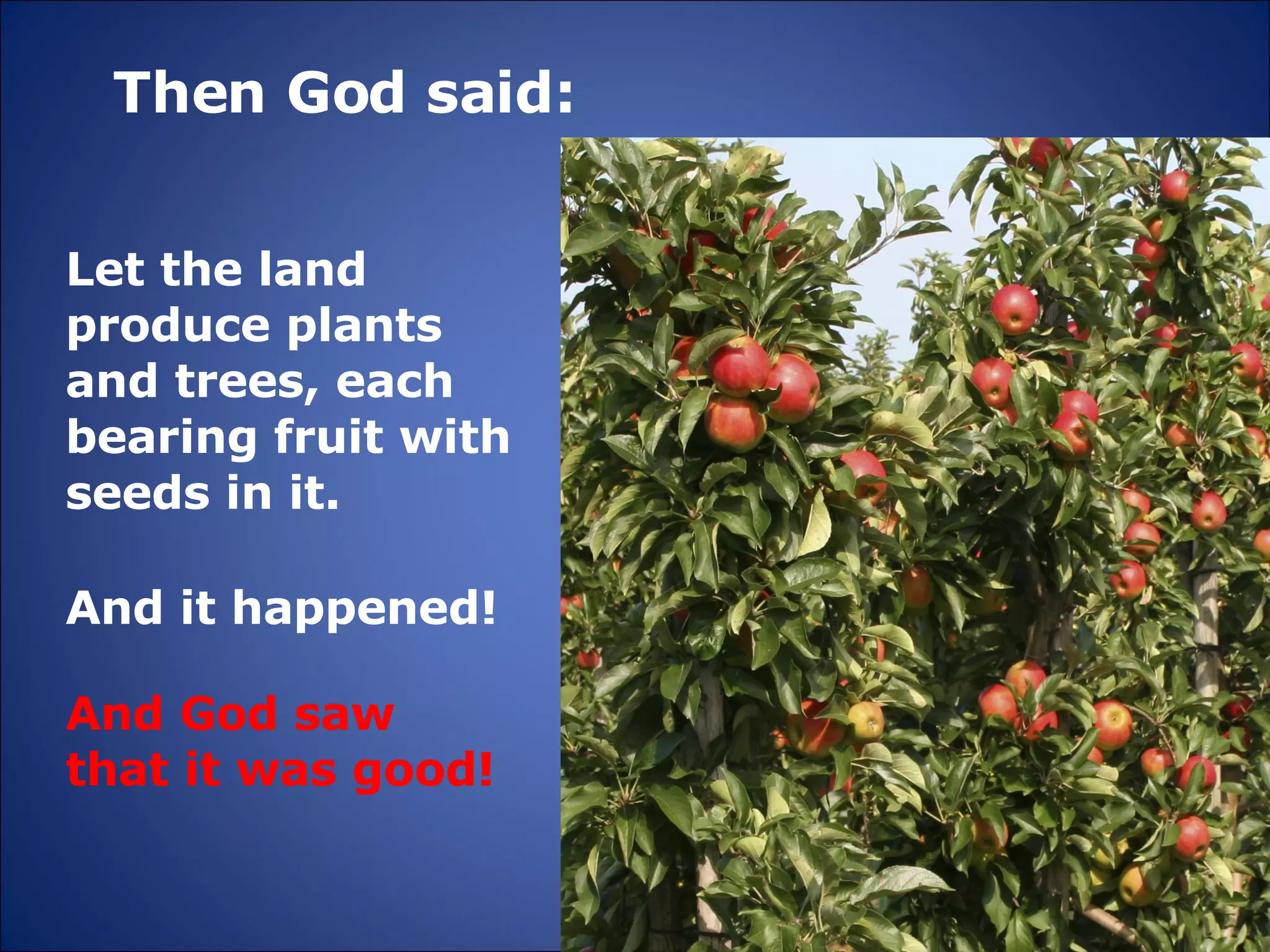 Then God said: And it happened! Let the land produce plants and trees, each bearing fruit with seeds in it. And God saw that it was good! 