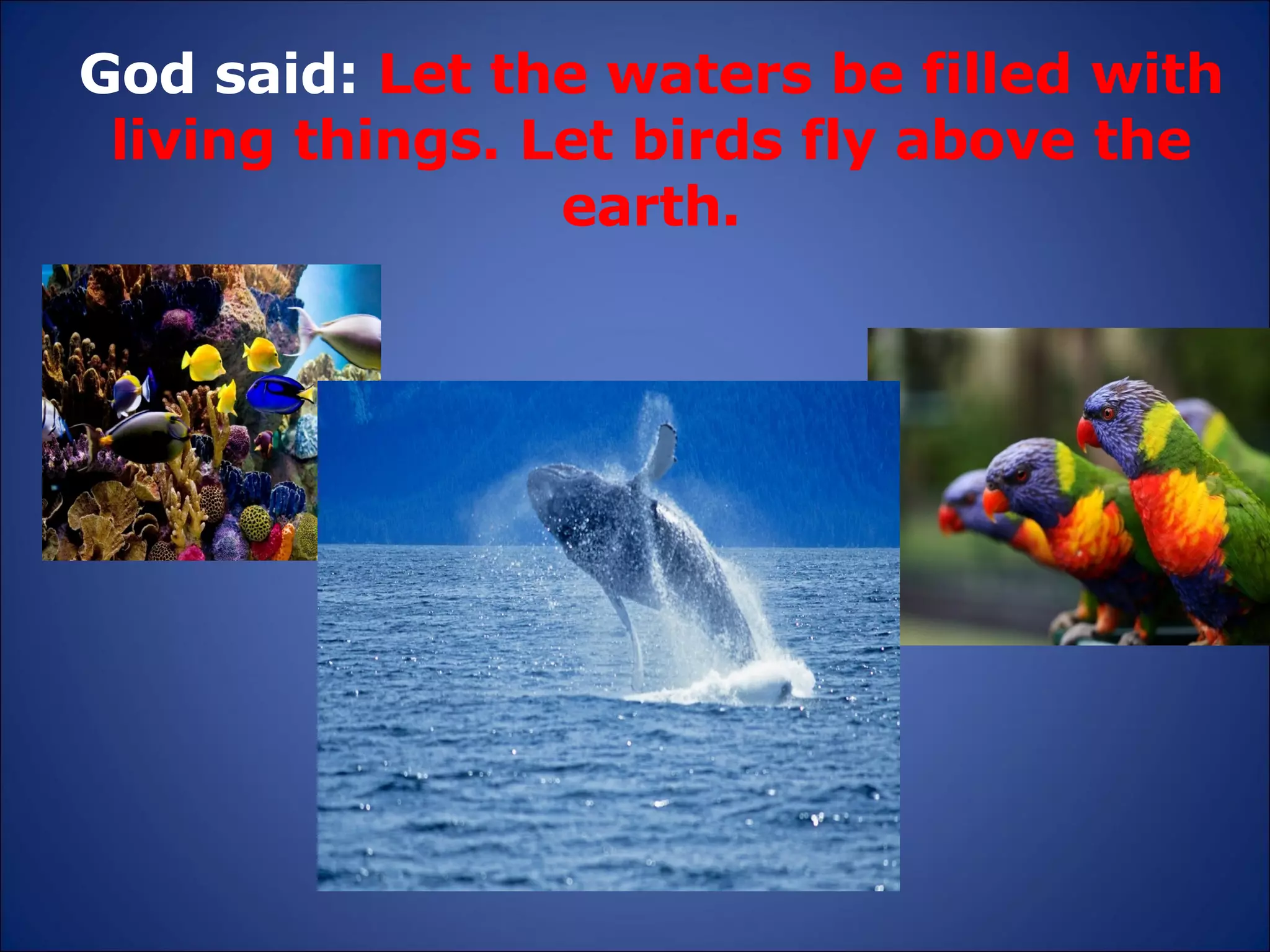 God said:  Let the waters be filled with living things. Let birds fly above the earth. 