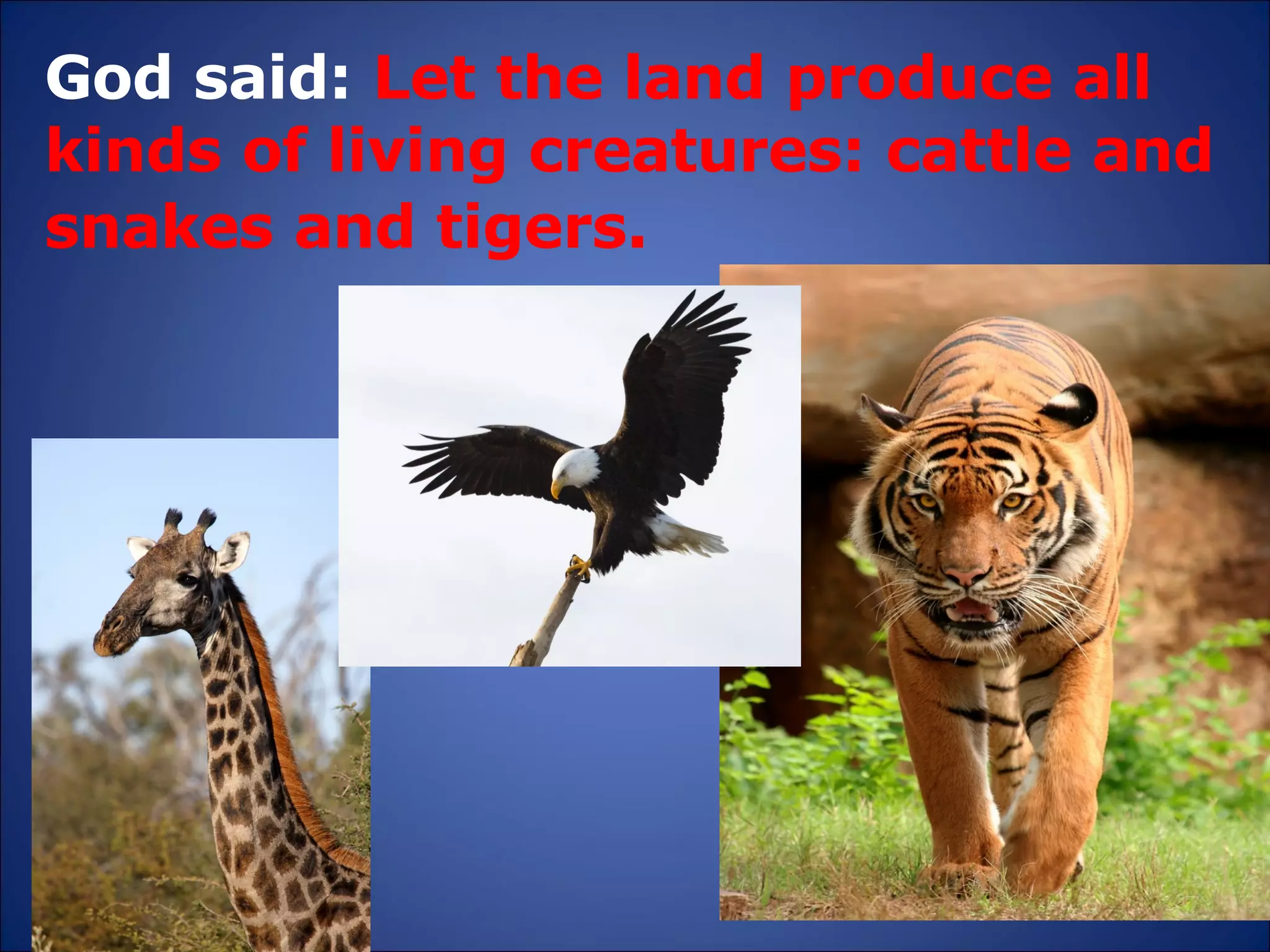 God said:  Let the land produce all kinds of living creatures: cattle and snakes and tigers.   