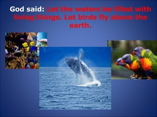 God said:  Let the waters be filled with living things. Let birds fly above the earth. 