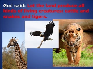 God said:  Let the land produce all kinds of living creatures: cattle and snakes and tigers.   