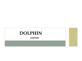 DOLPHIN
   OVERVIEW
 