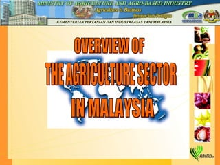 OVERVIEW OF THE AGRICULTURE SECTOR IN MALAYSIA 