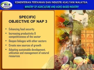 Overview Of Agriculture Sector In Malaysia