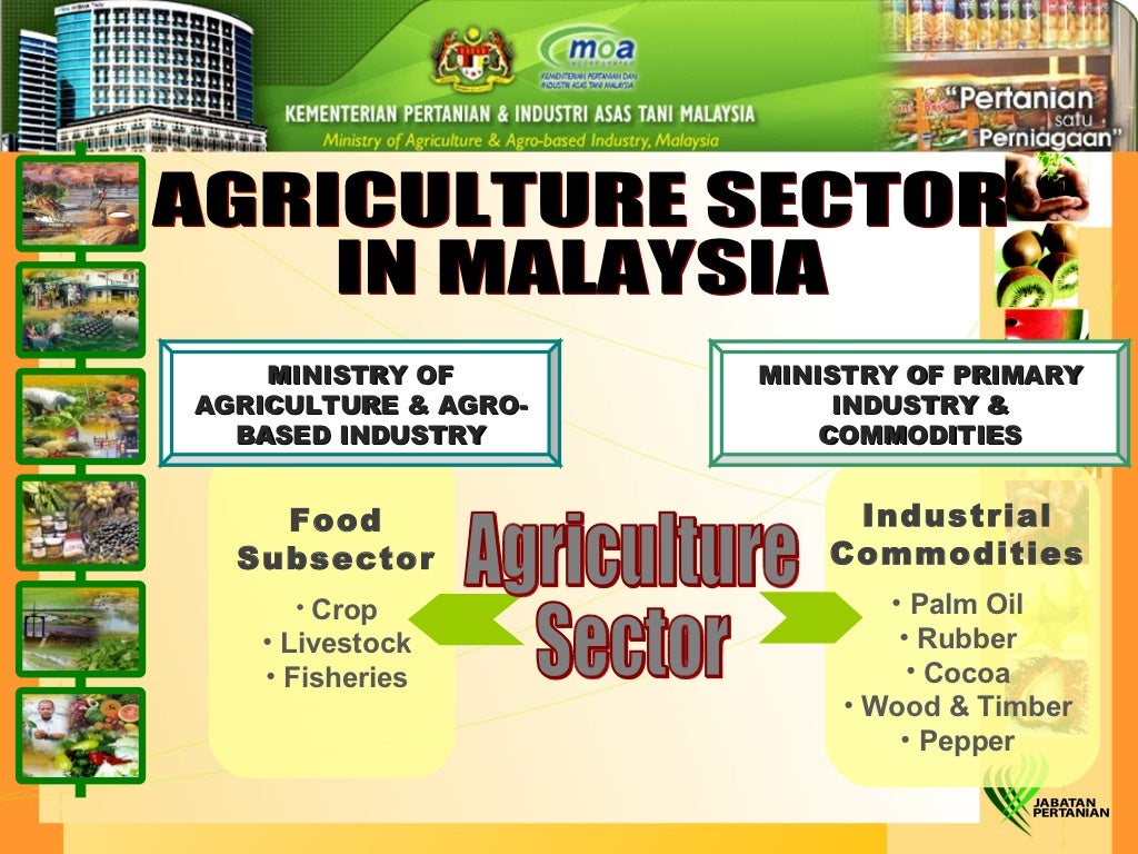 Overview Of Agriculture Sector In Malaysia 12 1024 ?cb=1230795234