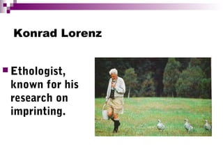 Konrad Lorenz
 Ethologist,
known for his
research on
imprinting.
 