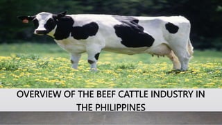 OVERVIEW OF THE BEEF CATTLE INDUSTRY IN
THE PHILIPPINES
 