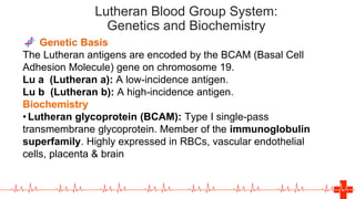 Overview-Of-The-Blood-Group-System-Final.pdf