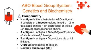 Overview-Of-The-Blood-Group-System-Final.pdf