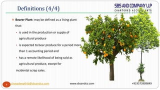 8
 Bearer Plant: may be defined as a living plant
that:
• is used in the production or supply of
agricultural produce
• is expected to bear produce for a period more
than 1 accounting period and
• has a remote likelihood of being sold as
agricultural produce, except for
incidental scrap sales.
Definitions (4/4)
chayadeepthib@sbsandco.com www.sbsandco.com +919573909849
 