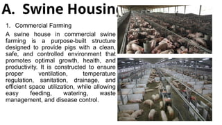 A. Swine Housing
1. Commercial Farming
A swine house in commercial swine
farming is a purpose-built structure
designed to provide pigs with a clean,
safe, and controlled environment that
promotes optimal growth, health, and
productivity. It is constructed to ensure
proper ventilation, temperature
regulation, sanitation, drainage, and
efficient space utilization, while allowing
easy feeding, watering, waste
management, and disease control.
 