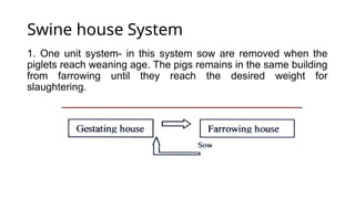 Swine house System
1. One unit system- in this system sow are removed when the
piglets reach weaning age. The pigs remains in the same building
from farrowing until they reach the desired weight for
slaughtering.
 