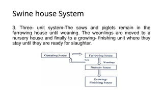 Swine house System
3. Three- unit system-The sows and piglets remain in the
farrowing house until weaning. The weanlings are moved to a
nursery house and finally to a growing- finishing unit where they
stay until they are ready for slaughter.
 